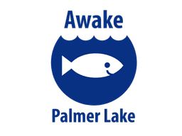 Awake Palmer Lake