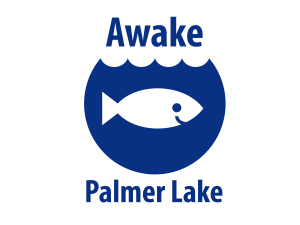 Awake Palmer Lake
